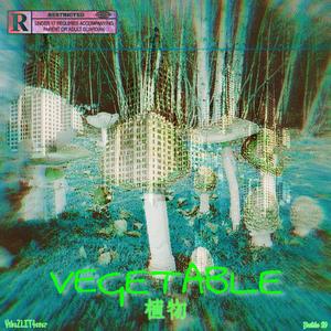 植物VEGETABLE