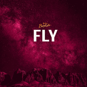 Fly