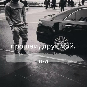 прощай, друг мой.