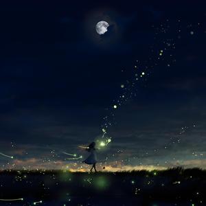 夜，萤火虫和你