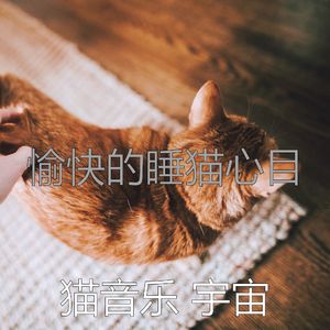微妙的睡猫心情