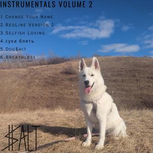 сука блять (Instrumental)