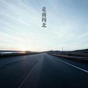 走南闯北