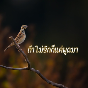 ถ้าไม่รักก็แค่พูดมา