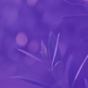 一尘不染桑拿印象数