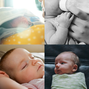 温和休息的宝贝梦想