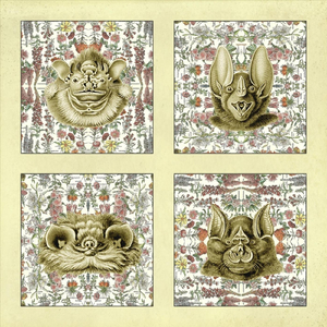 Waited (Instrumental)