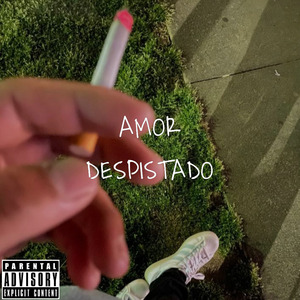 Amor Despistado