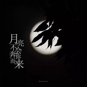 月亮不会奔你而来