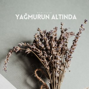 Yağmurun Altında