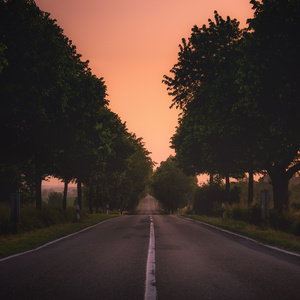 베토벤-피아노여 안녕