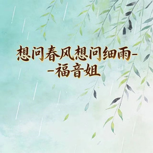 想问春风想问细雨 (DJ涵涵版)