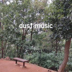 dust music