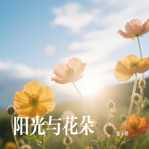 阳光与花朵