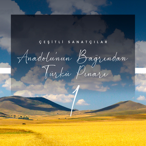 Diyarbakır Sofrası