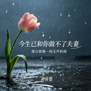 今生已和你做不了夫妻（缘分就像一场无声的雨）