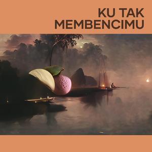 Ku Tak Membencimu