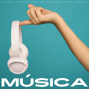 Sonido De Pájaro De Tono Bajo Binaural