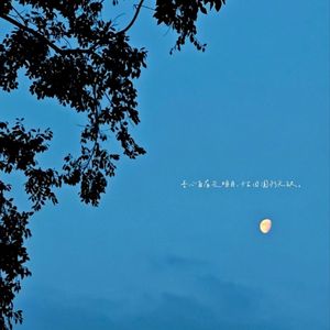 夕阳下邂逅的甜蜜恋曲