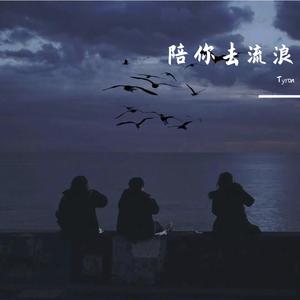 陪你去流浪（烟嗓女版）