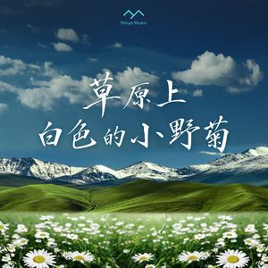 草原上白色的小野菊(女声版)