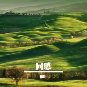 同感