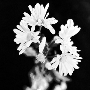 I Thought I Found You