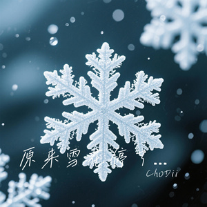 原来雪花停了爱也停了