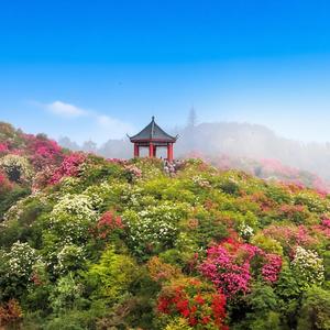 只对你心动