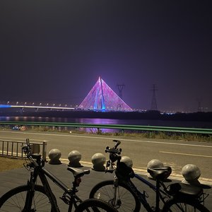 孤独音乐家的逆袭