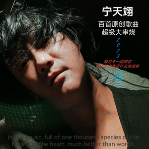 宁天翊百首原创歌曲超级大串烧