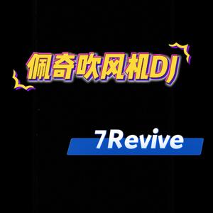 吹风机佩奇DJ (Remaster)
