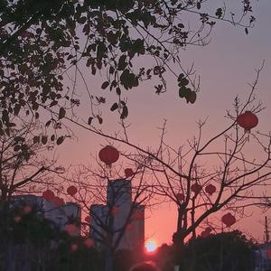 寄夏予你 (土豆鸭 Bootleg）