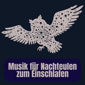 Musik für Nachteulen zum Einschlafen, Pt. 20