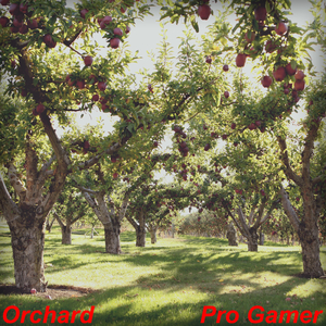 Dolla Sign (Remastered)