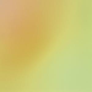 Softwind Veil
