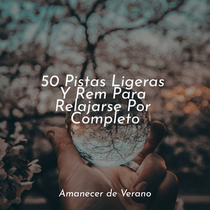 Sombras Susurrantes en Ensueño