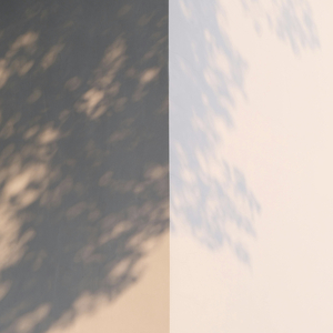 Tomorrow's Light
