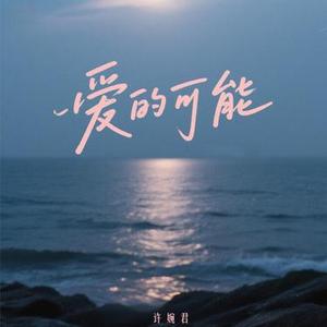 爱的可能