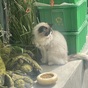 小半（cover陈粒）