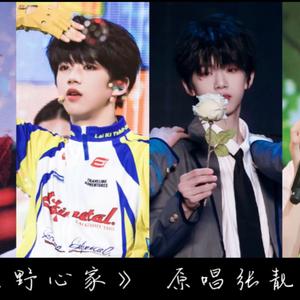 ai张函瑞 - 野心家