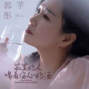 寂寞的人喝着伤心的酒 (DJ默涵版)