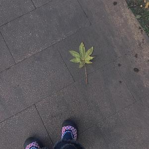 花的遗书(Prod by.PUNISHME)