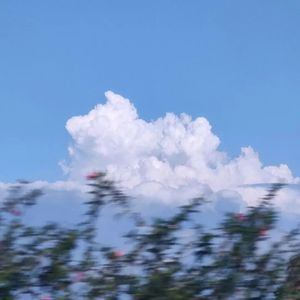 "爱与自由三七分" Pop Guitar Type Beat