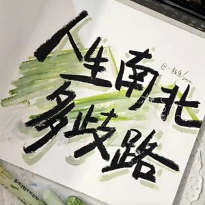 刘若英-后来