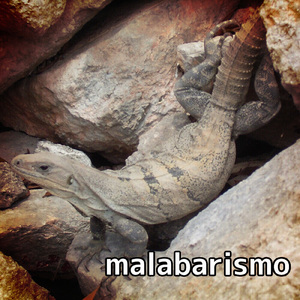 malabarismo
