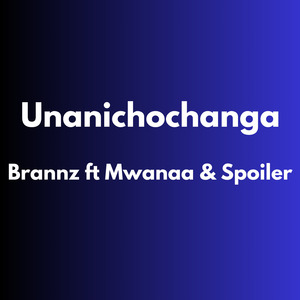 Unanichochanga