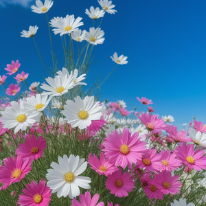 心之彼岸 (Faraway Heart)