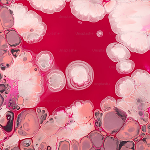 小猫的艳遇（Prod by SmileYan）