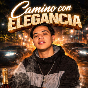 Camino con elegancia